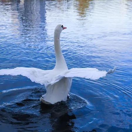 Saga Caves Straen * Stavanger